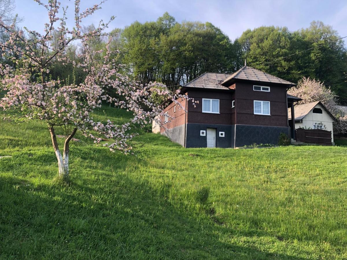 Cabana Hatere Majszin Kültér fotó